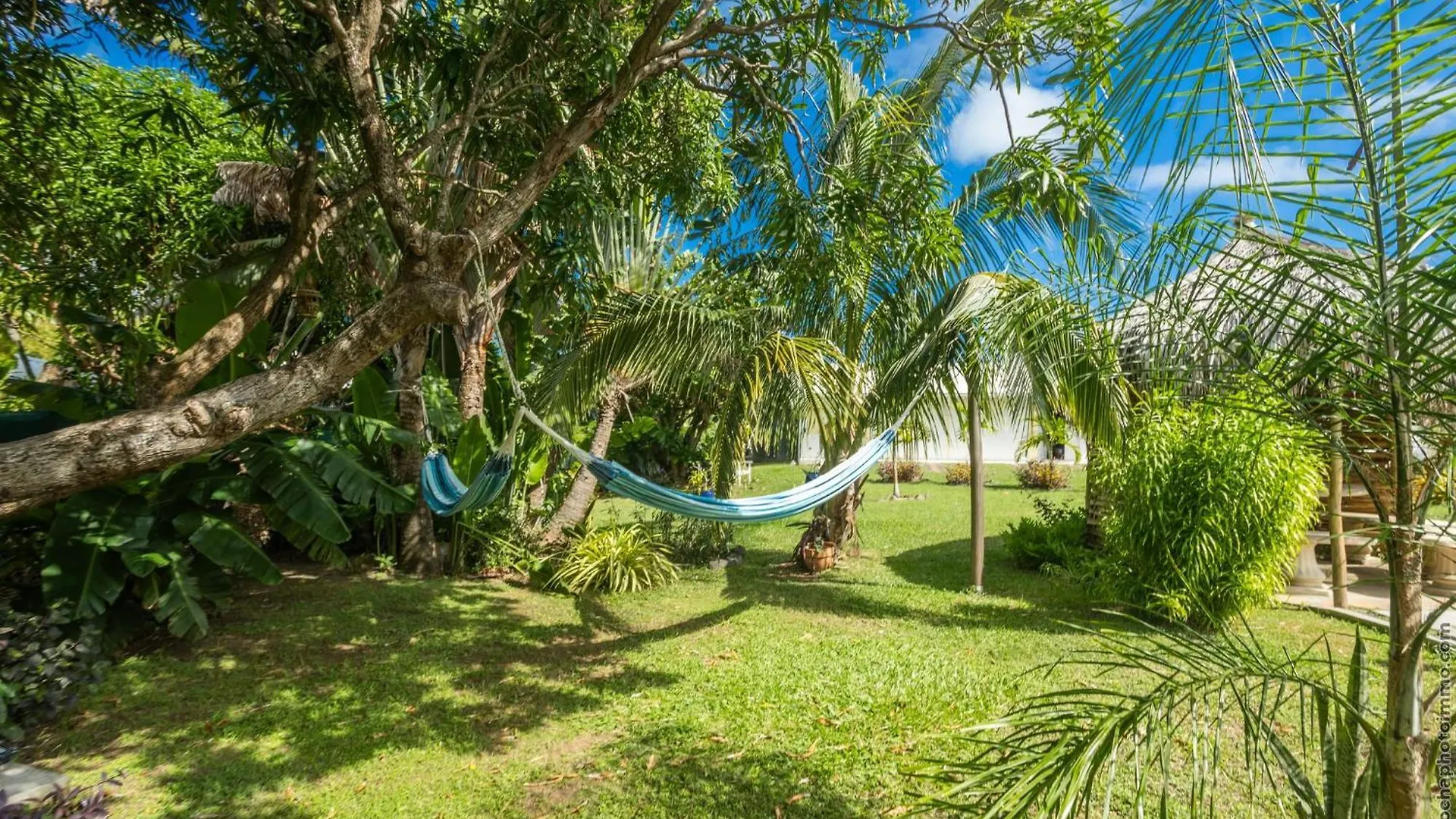 Domaine De L'Anse Simon - Piscine - 6 Chambres Le Vauclin Martinique